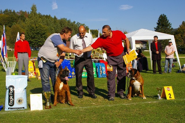 www.boxer-show.eu